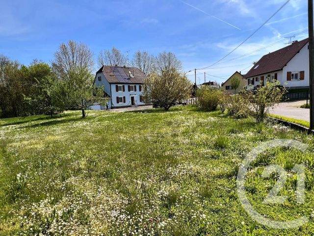 maison à vendre - 6 pièces - 160.0 m2 - HAUSGAUEN - 68 - ALSACE - Century 21 Pays De La Moder