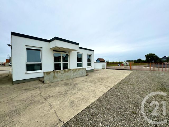 entreprise à louer - 55.0 m2 - BATZENDORF - 67 - ALSACE - Century 21 Pays De La Moder
