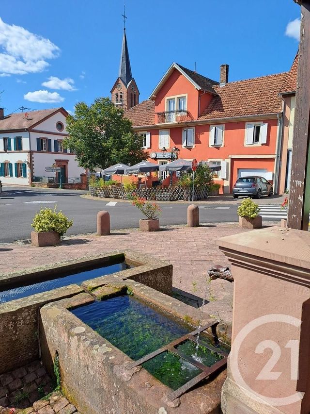 divers à vendre - 220.0 m2 - INGWILLER - 67 - ALSACE - Century 21 Pays De La Moder