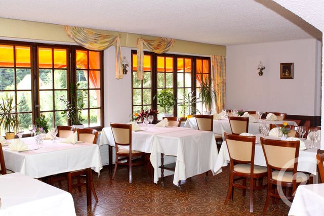 maison à vendre - 12 pièces - 530.0 m2 - PHILIPPSBOURG - 57 - LORRAINE - Century 21 Pays De La Moder