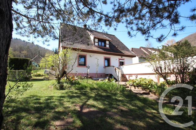 maison - NIEDERSTEINBACH - 67