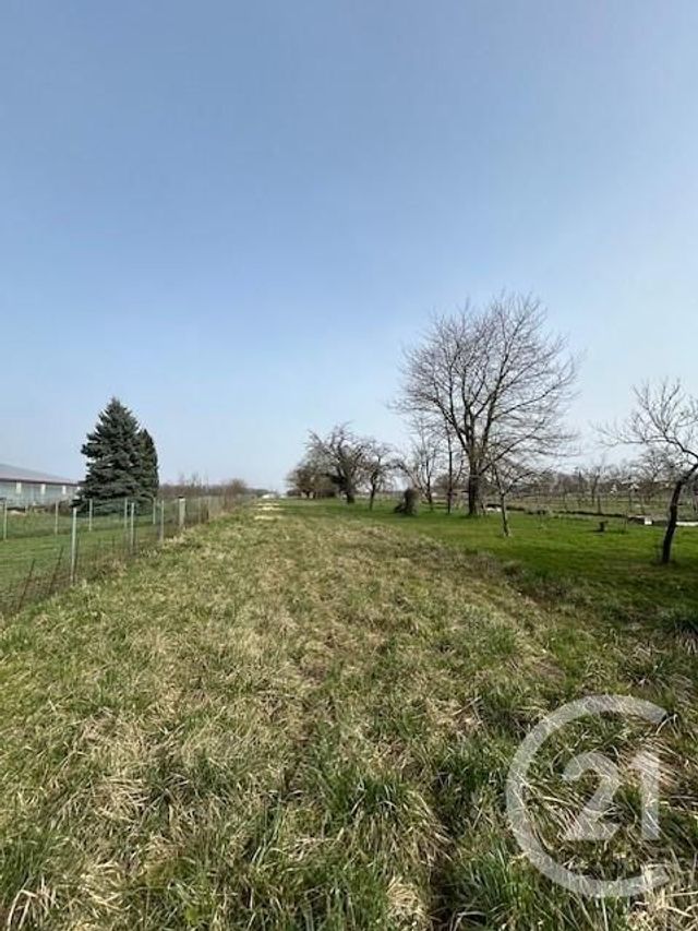 maison à vendre - 4 pièces - 143.0 m2 - WEITBRUCH - 67 - ALSACE - Century 21 Pays De La Moder