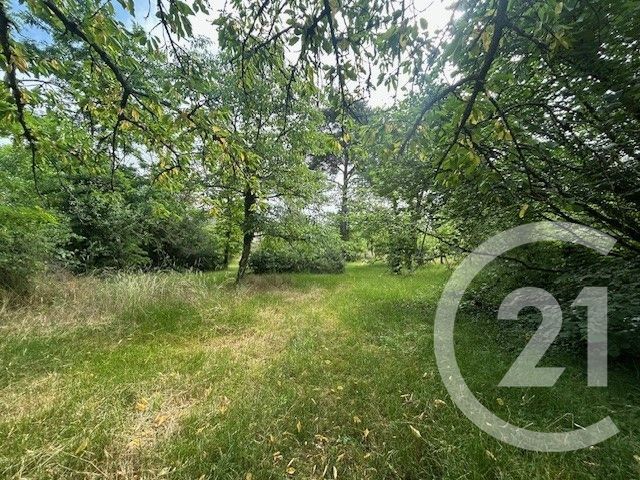 terrain à vendre - 635.0 m2 - KALTENHOUSE - 67 - ALSACE - Century 21 Pays De La Moder